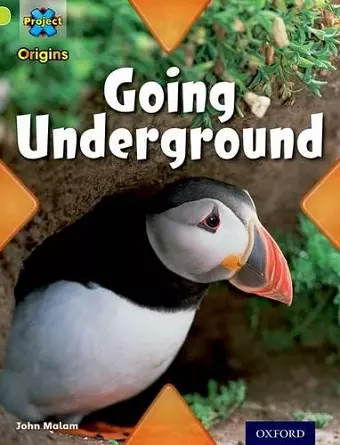 Project X Origins: Lime Book Band, Oxford Level 11: Underground: Going Underground cover