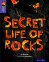 Oxford Reading Tree TreeTops inFact: Level 11: Secret Life of Rocks cover