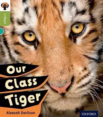 Oxford Reading Tree inFact: Level 7: Our Class Tiger cover