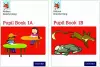 Nelson Handwriting: Year 1/Primary 2: Pupil Book 1A and 1B Pack of 30 cover