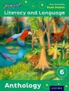 Read Write Inc.: Literacy & Language: Year 6 Anthology Pack of 15 cover