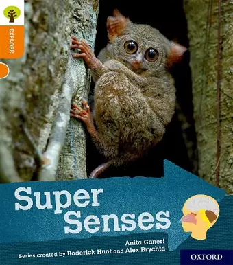 Oxford Reading Tree Explore with Biff, Chip and Kipper: Oxford Level 6: Super Senses cover