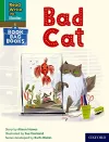 Read Write Inc. Phonics: A bad cat (Green Set 1 Book Bag Book 3) cover