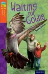 Oxford Reading Tree TreeTops Fiction: Level 13: Waiting for Goldie cover