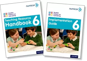 Numicon: Geometry, Measurement and Statistics 6 Teaching Pack cover