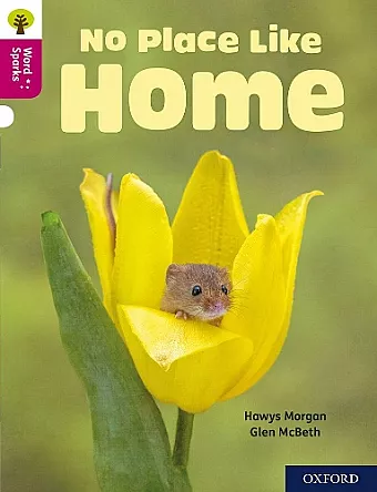 Oxford Reading Tree Word Sparks: Level 10: No Place Like Home cover