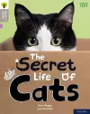 Oxford Reading Tree Word Sparks: Level 1: The Secret Life of Cats cover