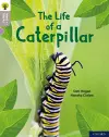 Oxford Reading Tree Word Sparks: Level 1: The Life of a Caterpillar cover