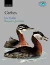 The Grebes cover