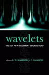 Wavelets: the Key to Intermittent Information? cover