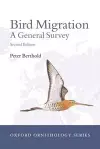 Bird Migration cover