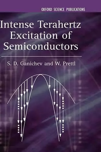 Intense Terahertz Excitation of Semiconductors cover