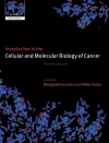 Introduction to the Cellular and Molecular Biology of Cancer cover