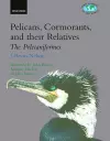 Pelicans, Cormorants, and their Relatives cover