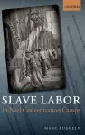 Slave Labor in Nazi Concentration Camps cover
