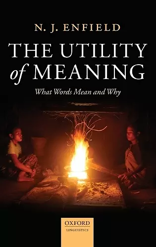 The Utility of Meaning cover