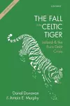 The Fall of the Celtic Tiger cover