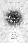 The Fragile Brain cover