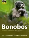 Bonobos cover