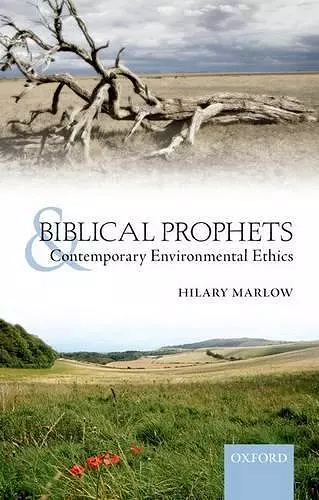 Biblical Prophets and Contemporary Environmental Ethics cover