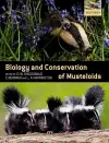 Biology and Conservation of Musteloids cover