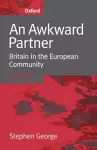 An Awkward Partner cover