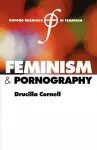 Feminism and Pornography cover