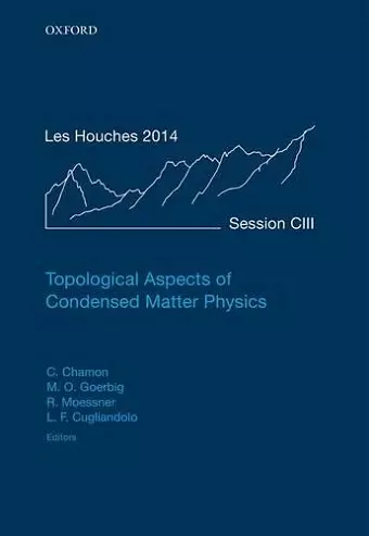 Topological Aspects of Condensed Matter Physics cover