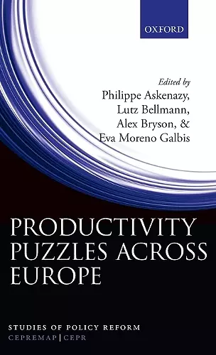 Productivity Puzzles Across Europe cover