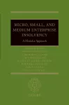 Micro, Small, and Medium Enterprise Insolvency cover