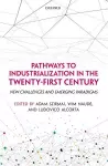 Pathways to Industrialization in the Twenty-First Century cover