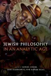 Jewish Philosophy in an Analytic Age cover