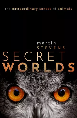 Secret Worlds cover