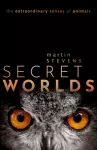 Secret Worlds cover