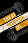 The AI Delusion cover