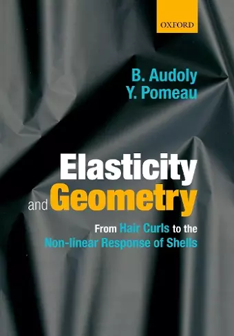 Elasticity and Geometry cover