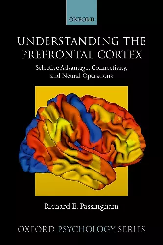 Understanding the Prefrontal Cortex cover