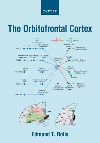 The Orbitofrontal Cortex cover