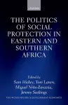 The Politics of Social Protection in Eastern and Southern Africa cover