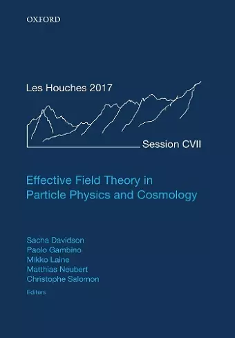 Effective Field Theory in Particle Physics and Cosmology cover