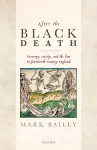 After the Black Death cover