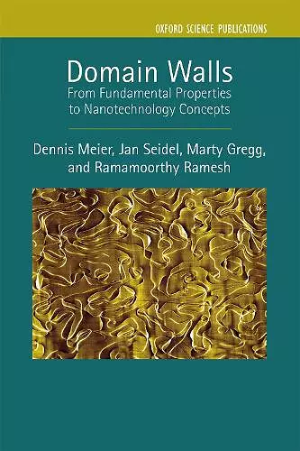 Domain Walls cover