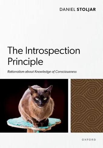 The Introspection Principle cover