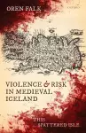 Violence and Risk in Medieval Iceland cover