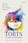 Torts on Three Continents cover