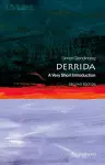 Derrida cover