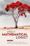 What Is Mathematical Logic? cover