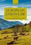 European Union Law cover