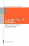 Accountability Politics cover