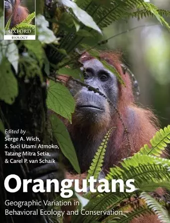 Orangutans cover